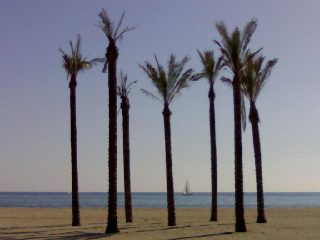 Atractivo Apartamento En La Playa Con Parking Roquetas de Mar Eksteriør billede
